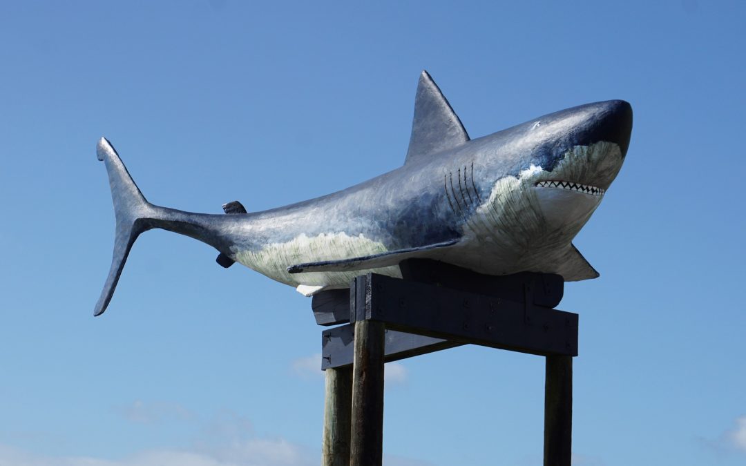 Far North ITM Building Centre